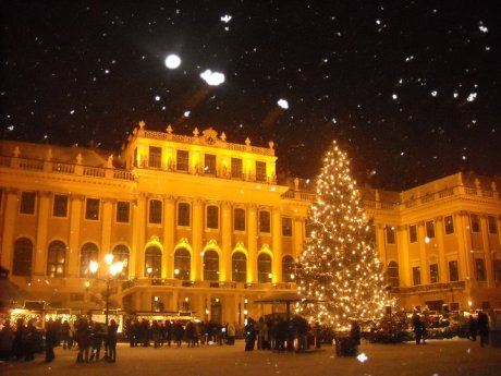 Christmas at Schonbrunn